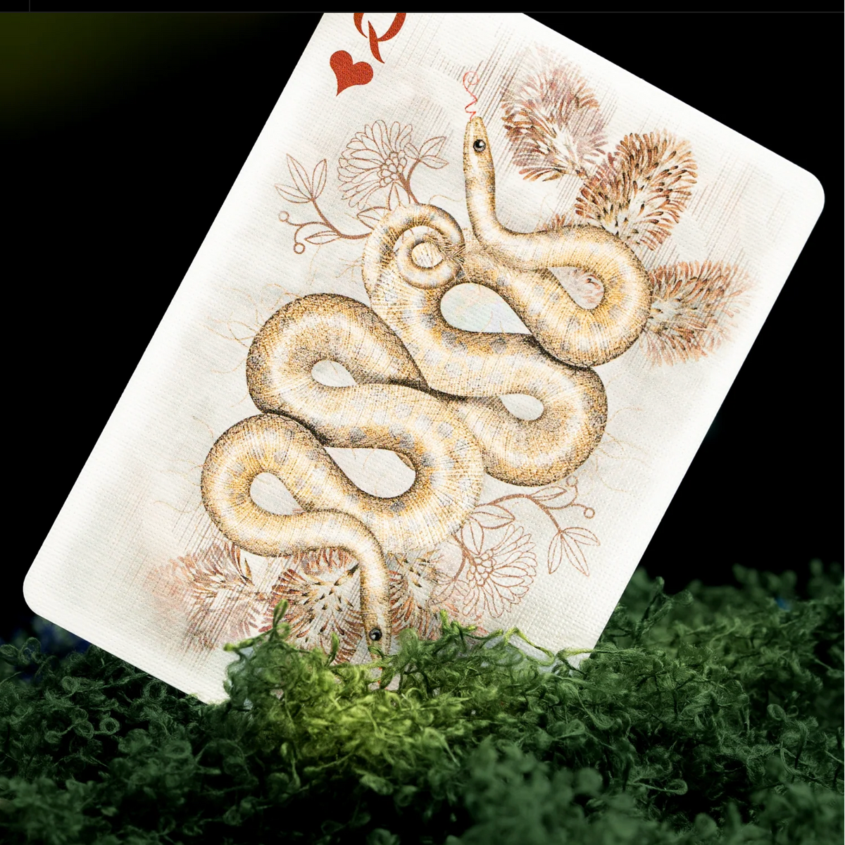 Memento Moooi Queen of Hearts featuring mirrored golden serpents and delicate botanical illustrations.