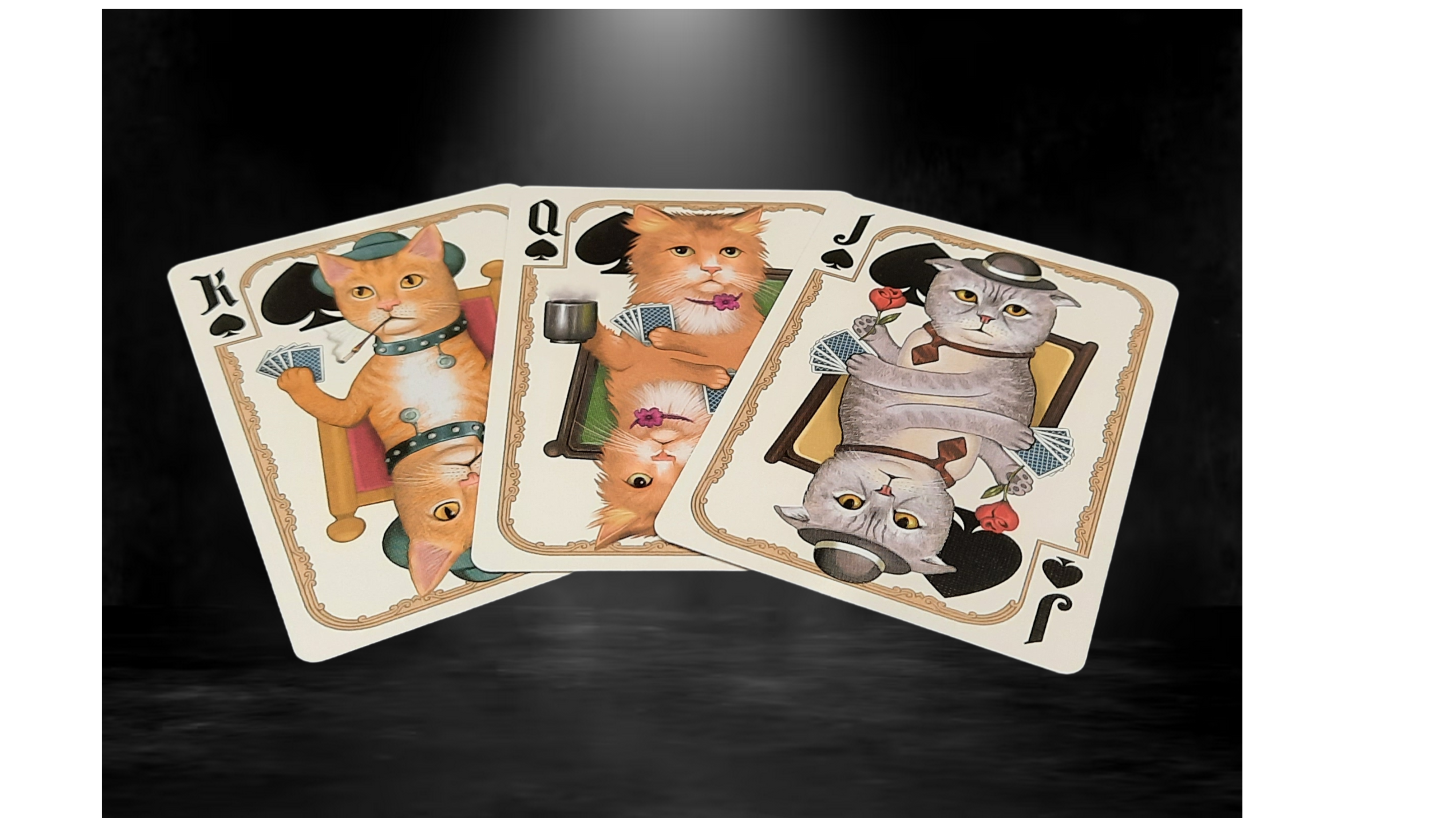 Three Bicycle Poker Cats playing cards with cat illustrations on a dark background
