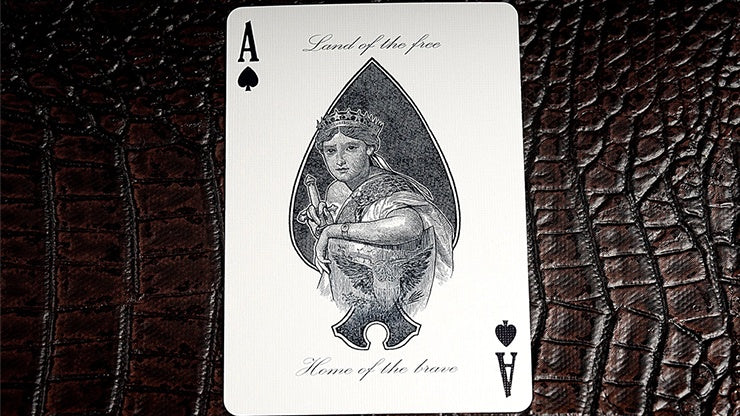 Ace of Spades playing card with a black and white design on a textured brown background