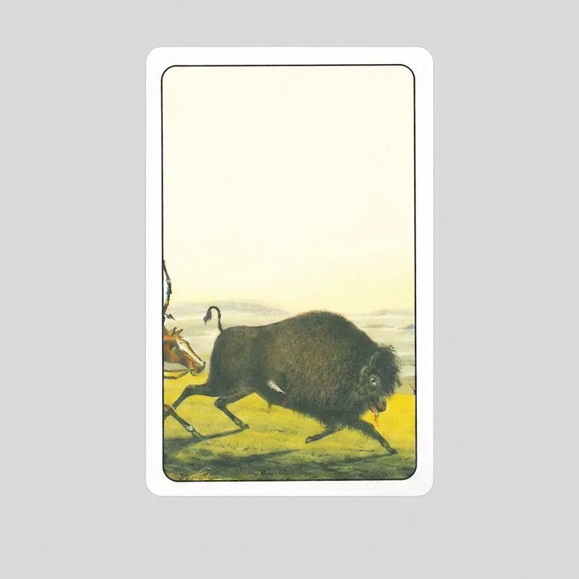 Native American Playing Cards Set Two by U.S. Games with historical Native American portrait artwork of a buffalo.