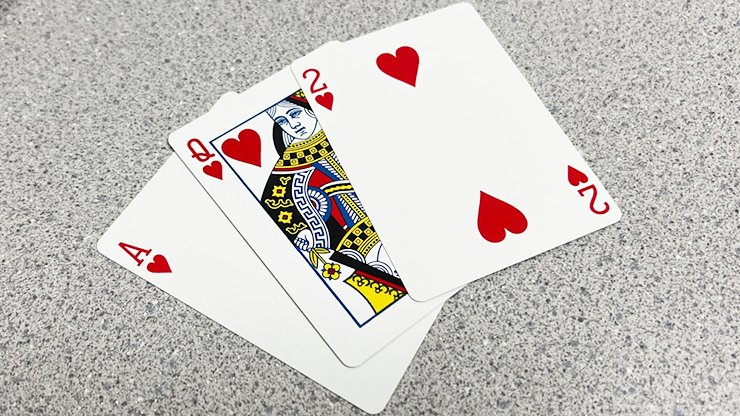 Bicycle Double Faced Playing Cards