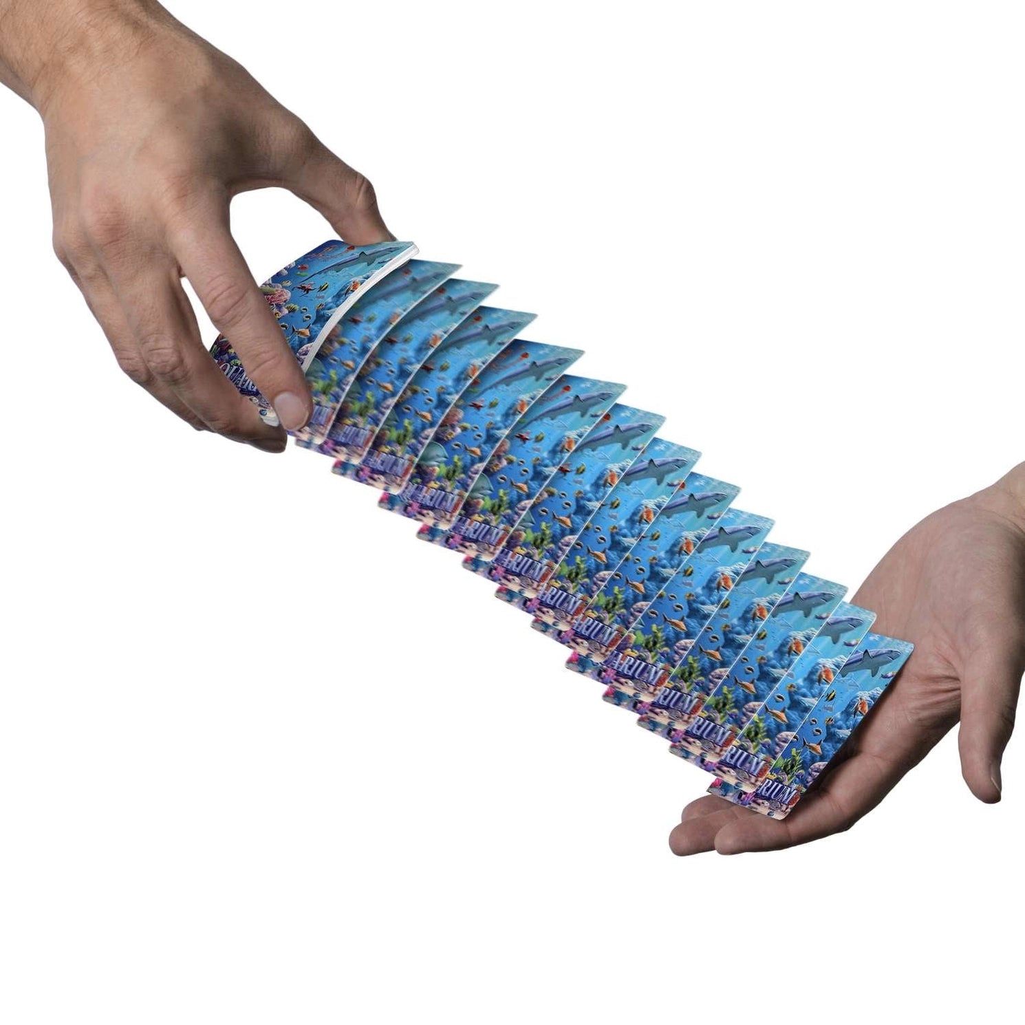 Boardwalk Aquarium deck shown in a card spring with ocean card backs