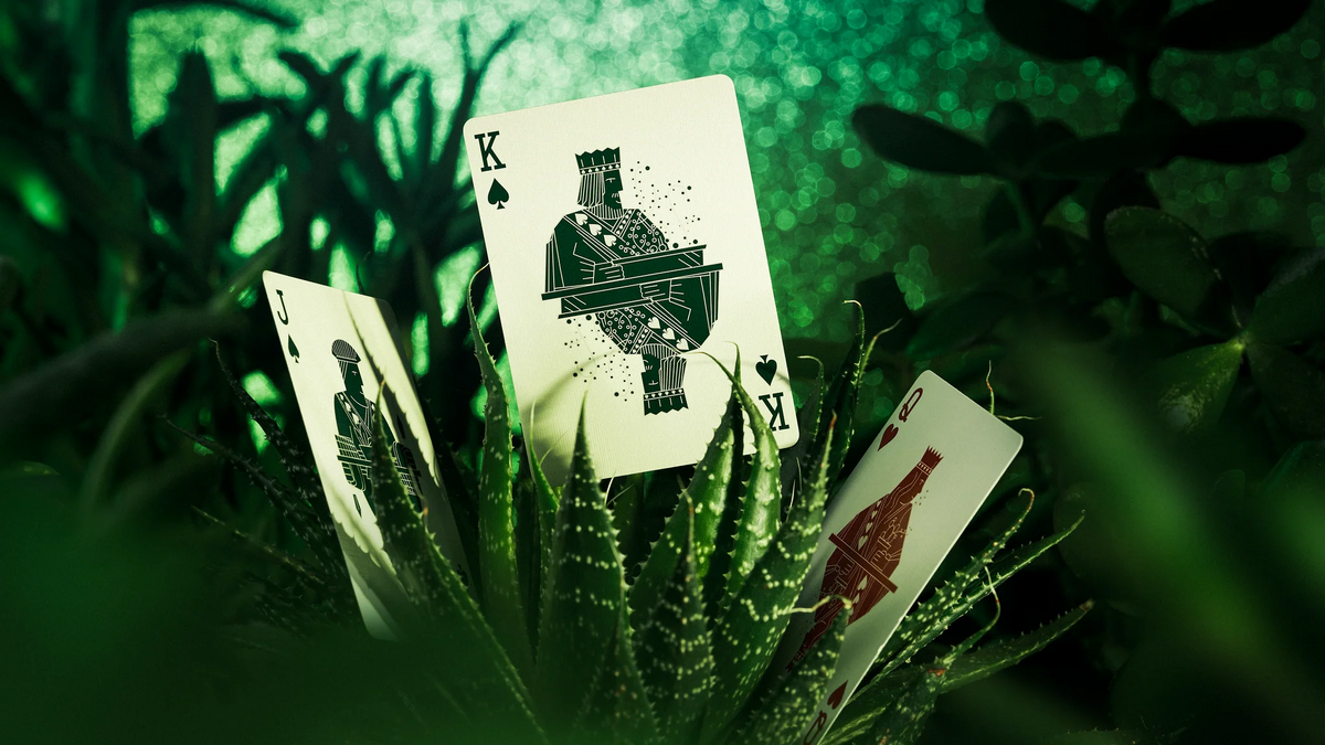 Succulent Playing Cards custom court cards displayed among live succulent plants