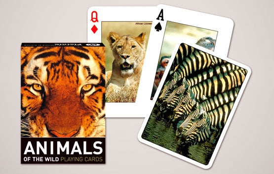 Playing cards featuring animals of the wild on a gray background